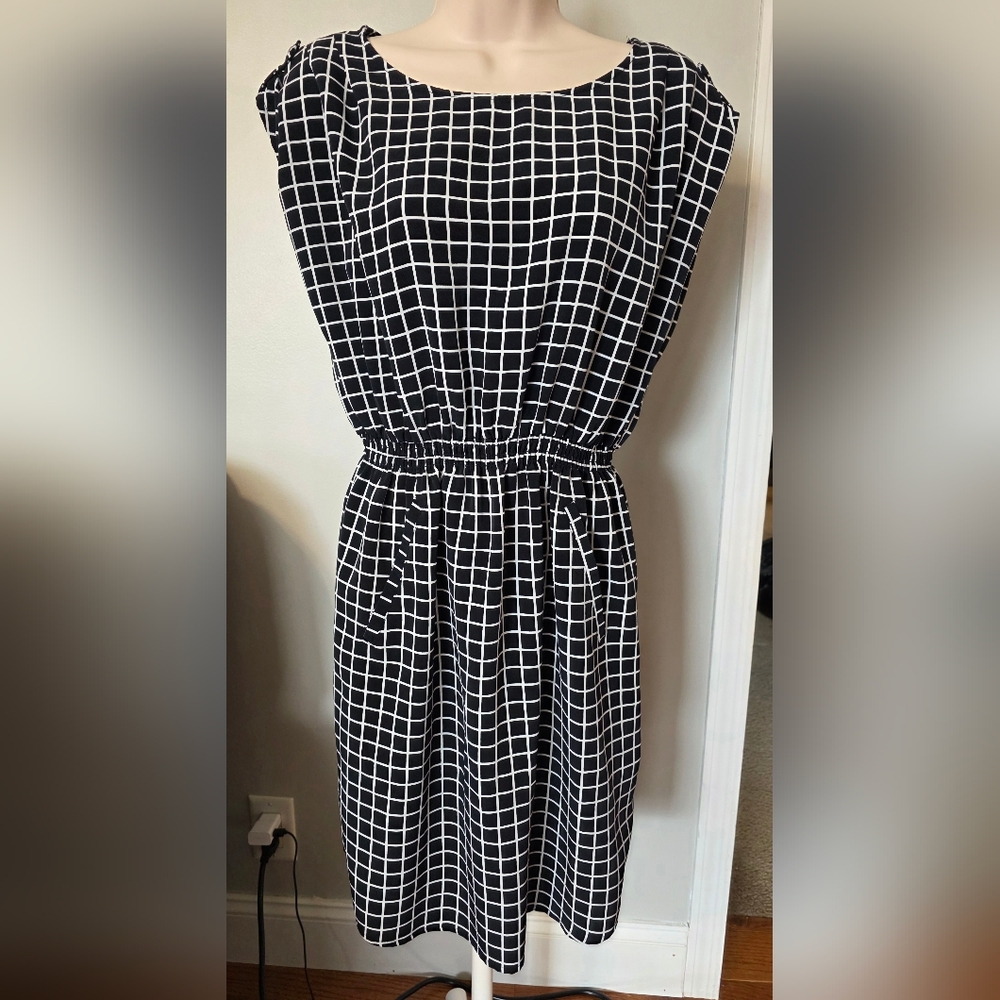 Charming Charlie Dress